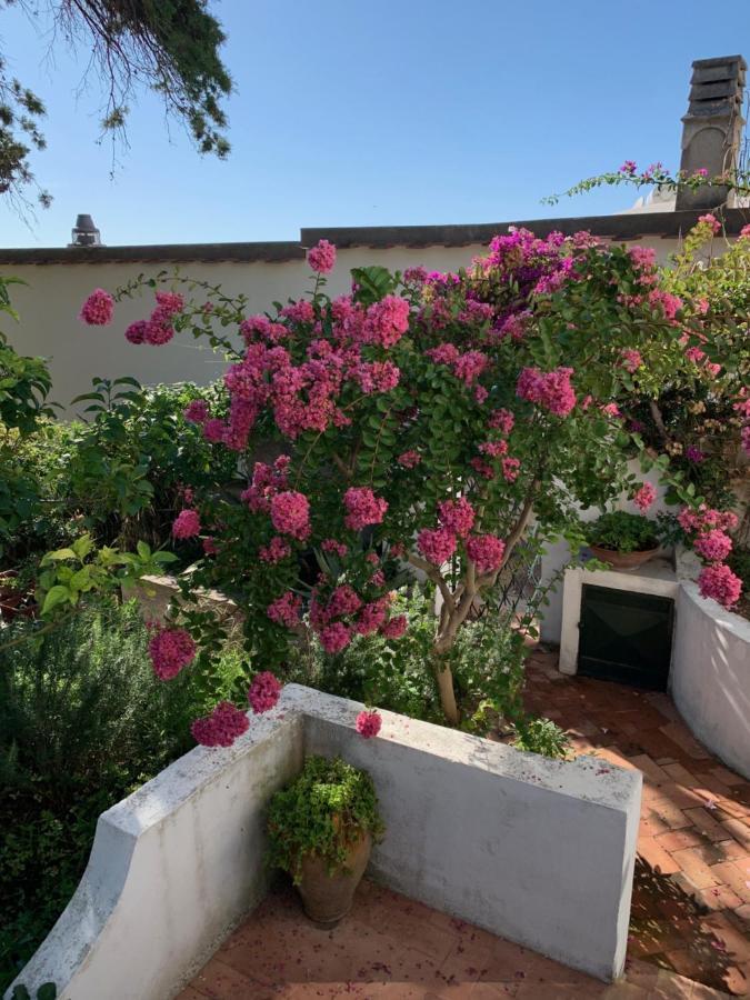 Bed and Breakfast Il Geranio Anacapri  Esterno foto