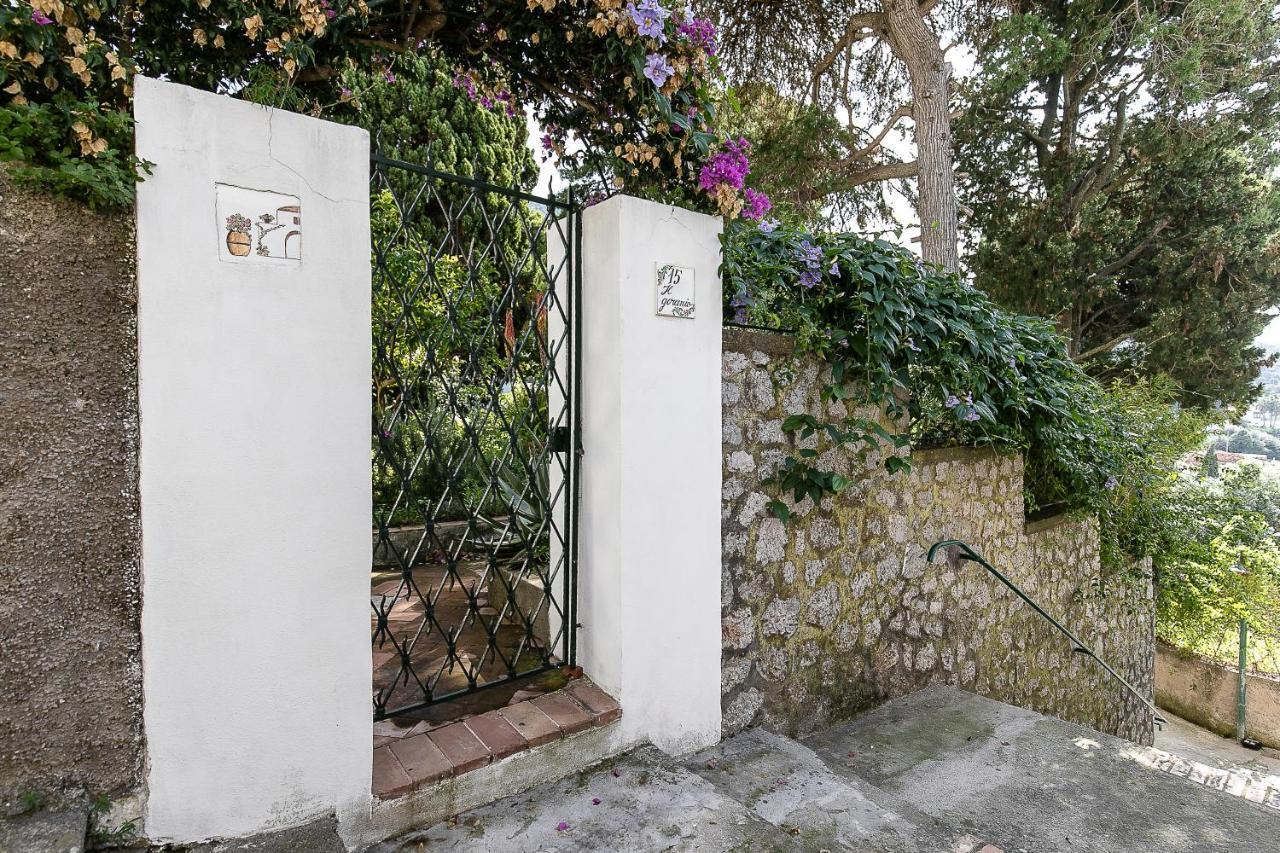 Bed and Breakfast Il Geranio Anacapri  Esterno foto